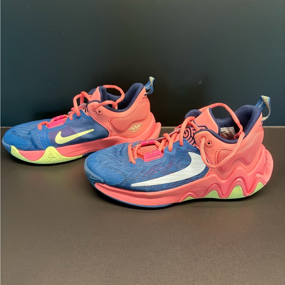 Nike Giannis Immortality 2 The Winder big kids 5 basketball Sneakers